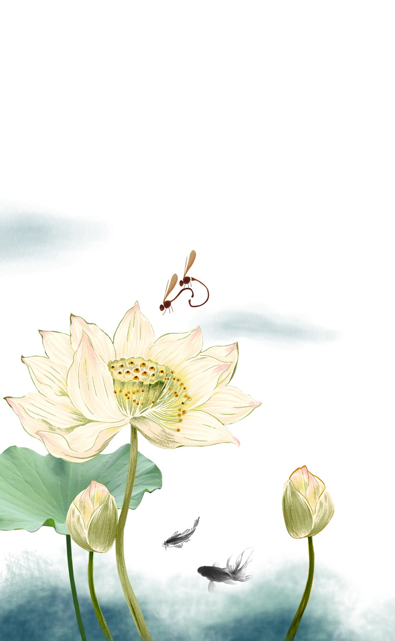 清新荷花插画背景，卡通手绘JPG/PSD格式高清设计素材下载