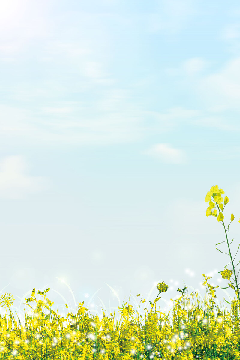 春日踏青赏花图，高清蓝色油菜花背景JPG与手绘PSD素材下载