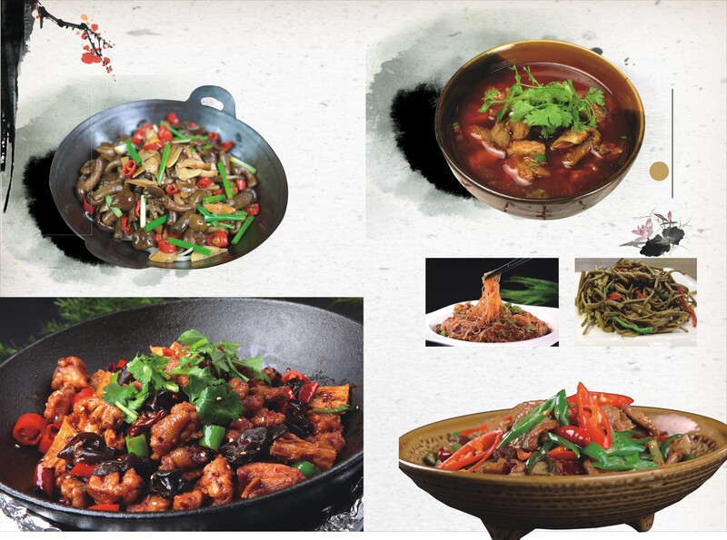 中国炒菜佳肴精选，高清JPG美食菜单背景设计素材，质感纹理CER格式下载