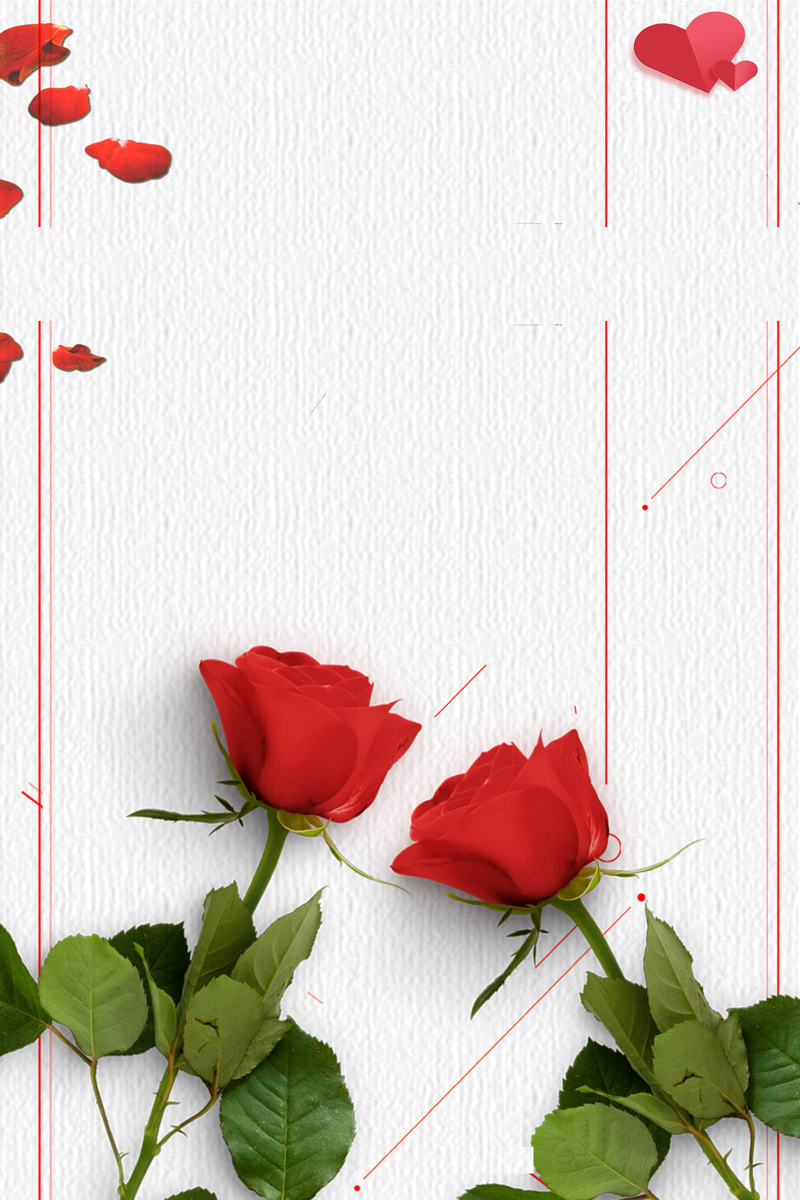 玫瑰花背景图，高清JPG与PSD设计素材，质感纹理丰富，免费下载