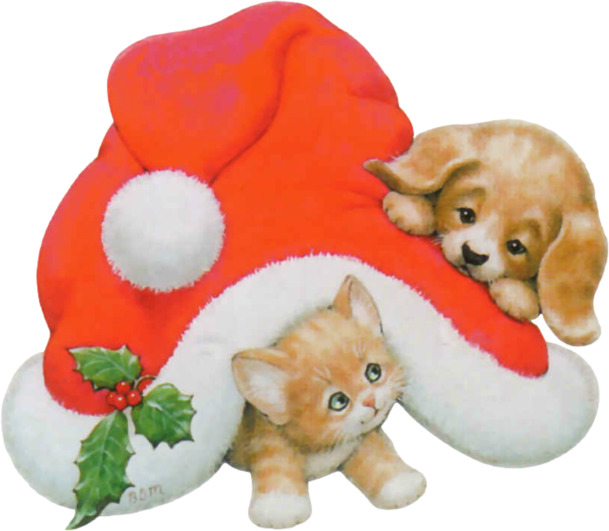 圣诞节猫狗PNG透明图片，高清节日元素设计素材下载