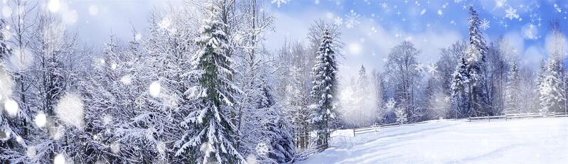 浪漫雪景冬季海报背景，高清JPG摄影素材，免费下载