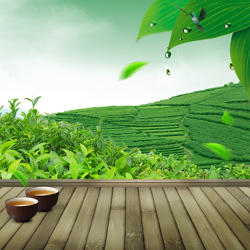 绿色茶园PSD分层主图背景，高清JPG茶叶摄影素材，风景设计元素下载