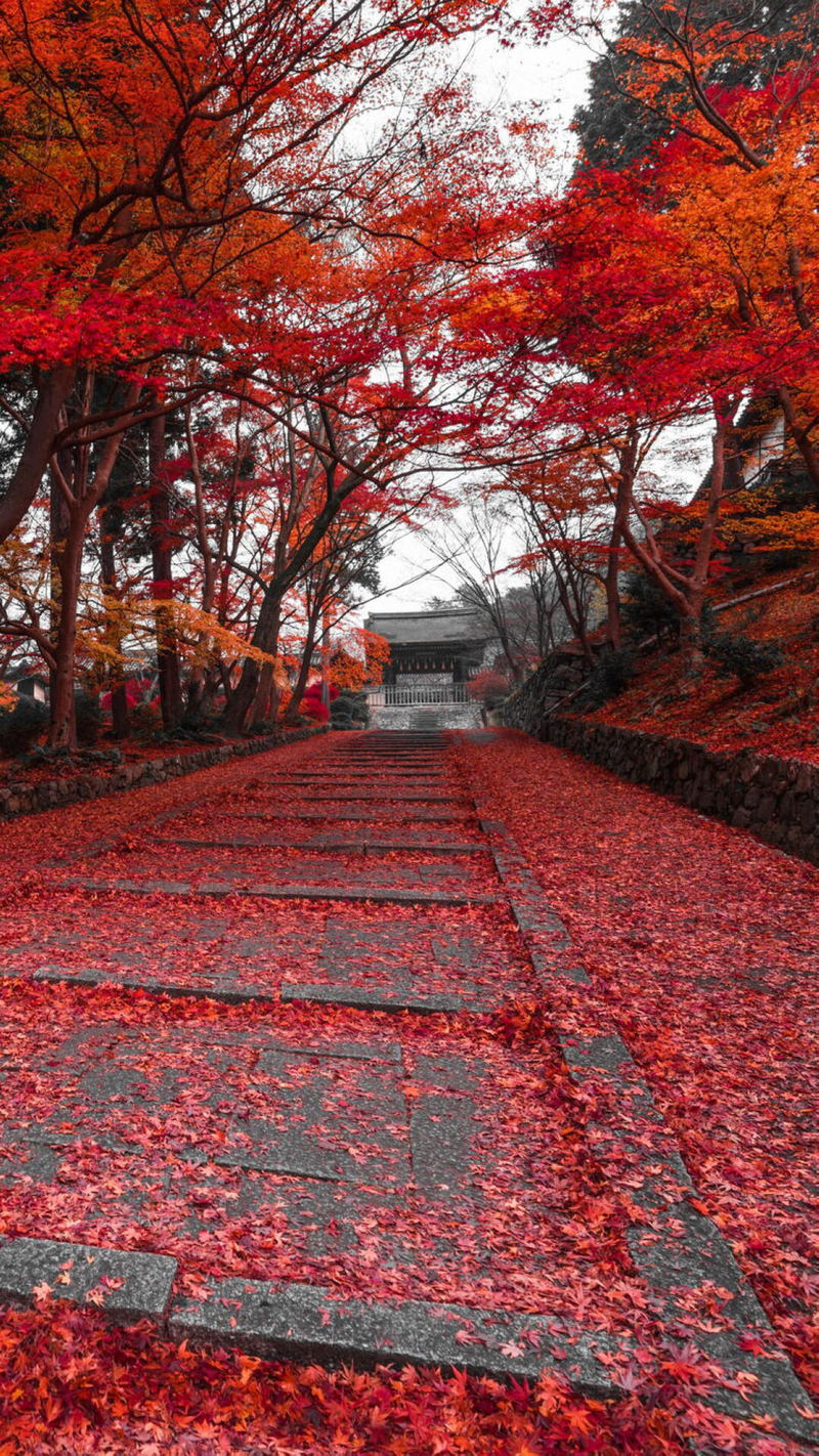 秋日风光高清JPG摄影，精选风景图片设计素材下载