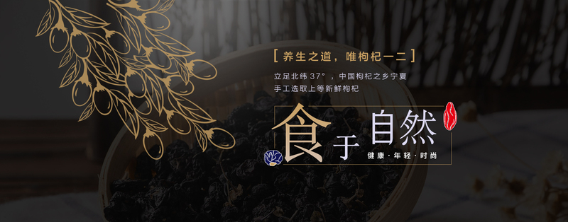 高清枸杞养生JPG图片，质感纹理PSD设计素材下载