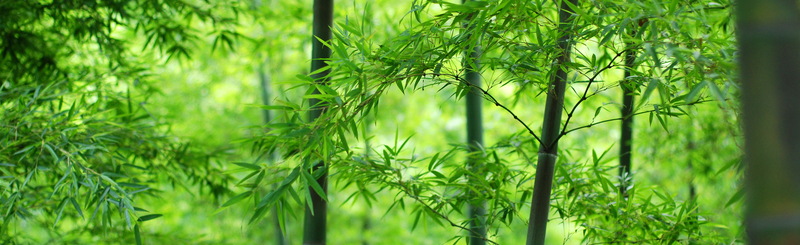 天猫淘宝Banner背景，高清JPG质感纹理设计素材下载