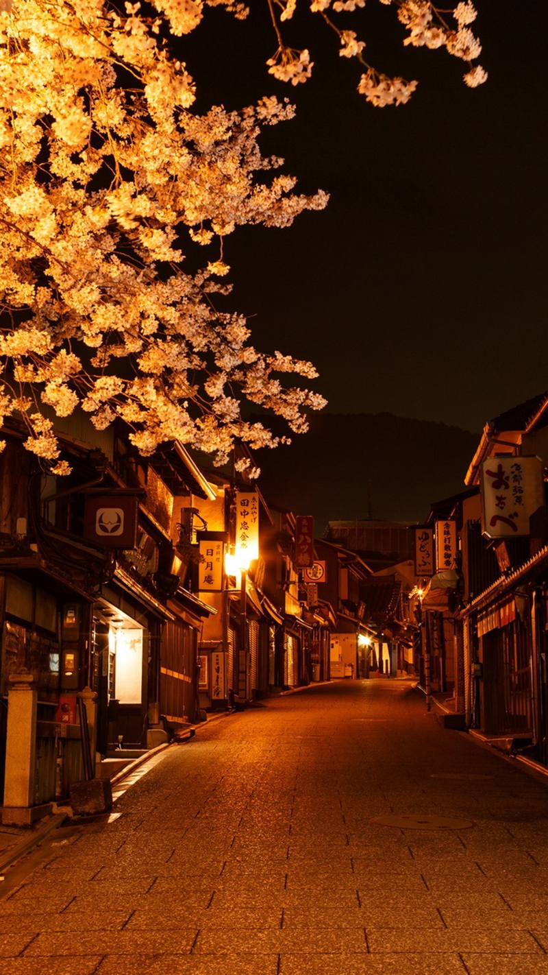 夜晚小巷浪漫背景，精选高清JPG摄影素材，免费下载