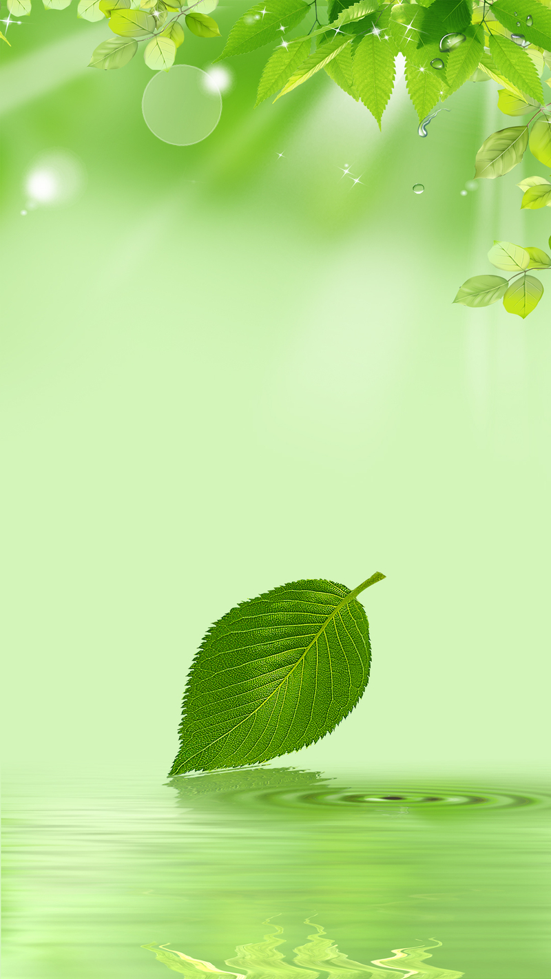 高清绿色梦幻波纹背景素材，水珠绿叶H5摄影/PSD风景设计下载