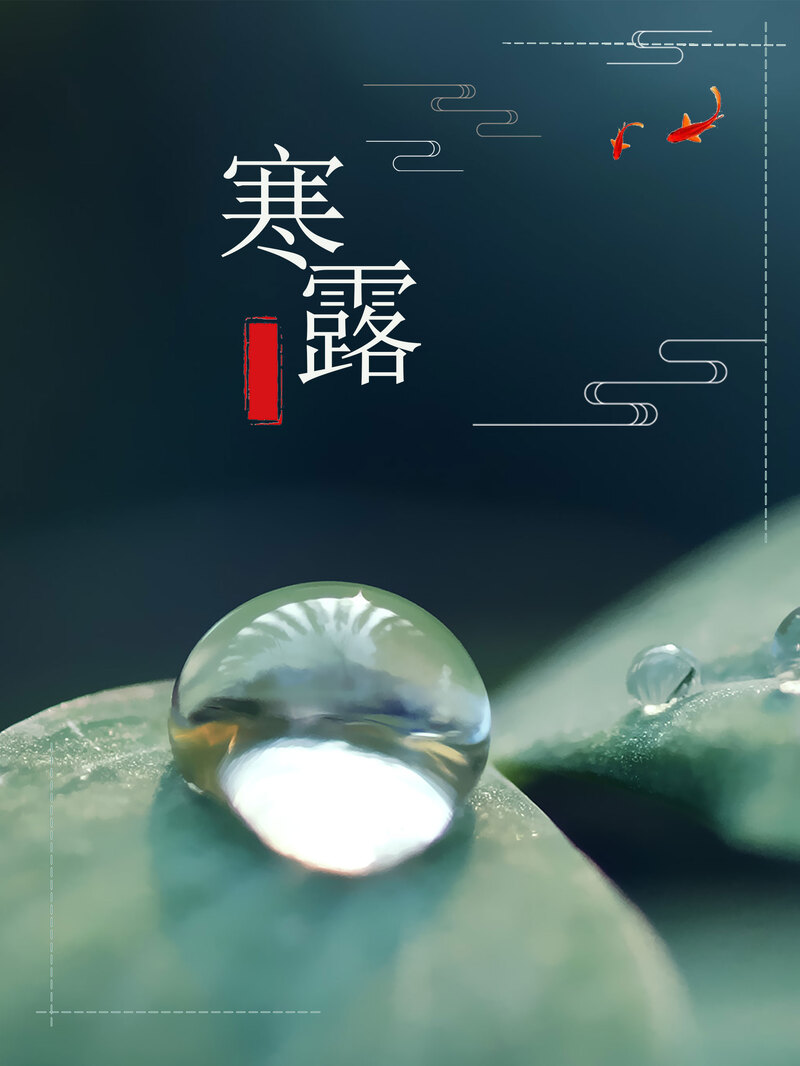 寒露节气清新海报背景，深绿色水滴元素，PS高清JPG/PSD格式素材下载