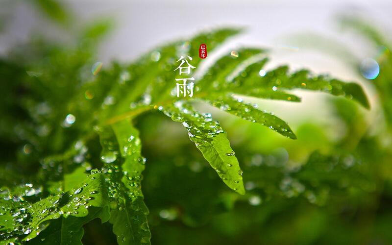 谷雨节气唯美背景图，高清JPG摄影素材，风景设计任你选