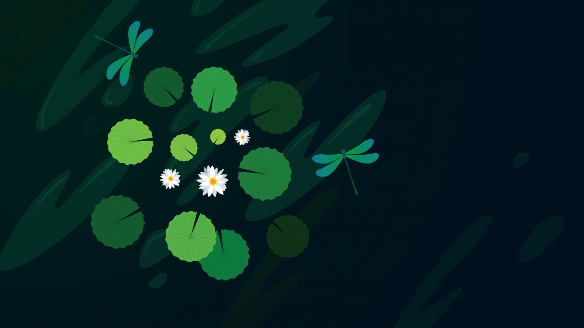 荷花蜻蜓4K高清壁纸，简约设计，3840x2160分辨率，免费下载
