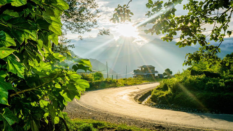 户外道路森林高清JPG摄影，绿色植物风景素材，平面广告优选下载