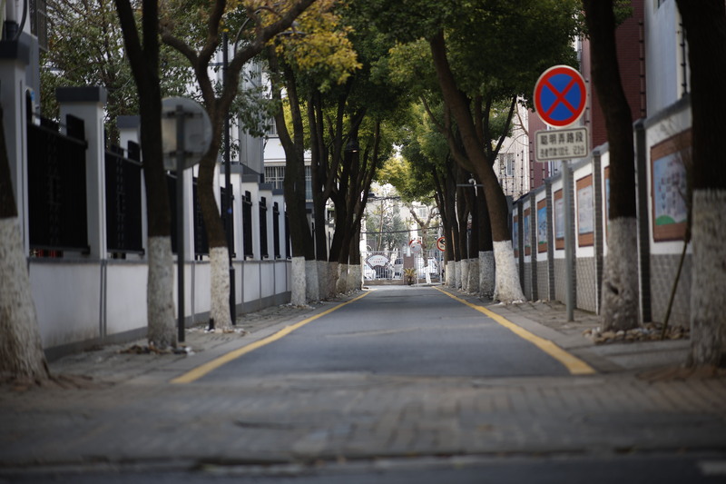 街道马路高清摄影，风景素材JPG图片，免费下载