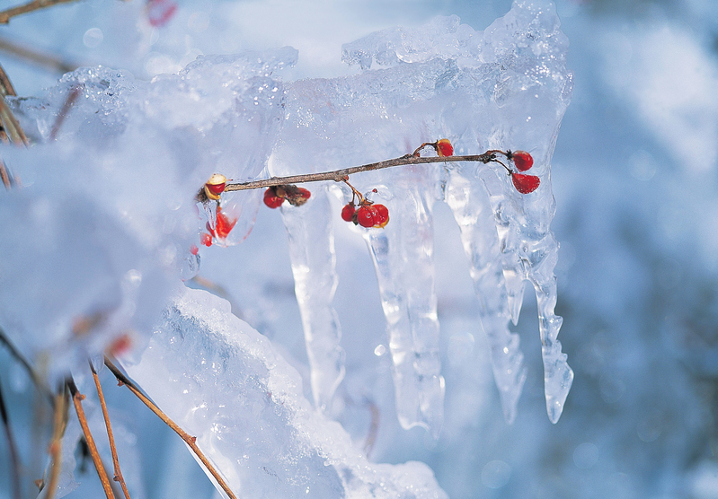 冬日雪景高清JPG，自然风景摄影素材下载