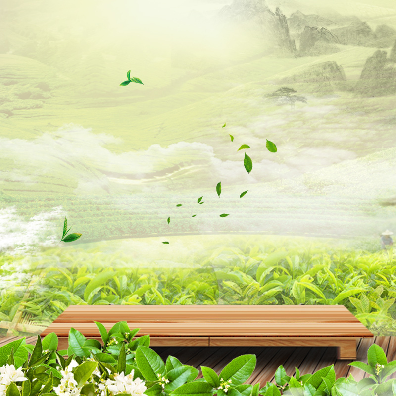 清新绿意茶叶PSD分层背景图，高清JPG摄影风景，设计素材下载