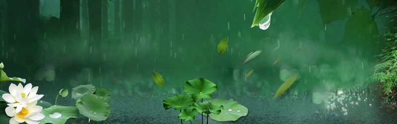 一塘荷色美景摄影，高清JPG/PSD设计素材，BANNER背景图随心下载