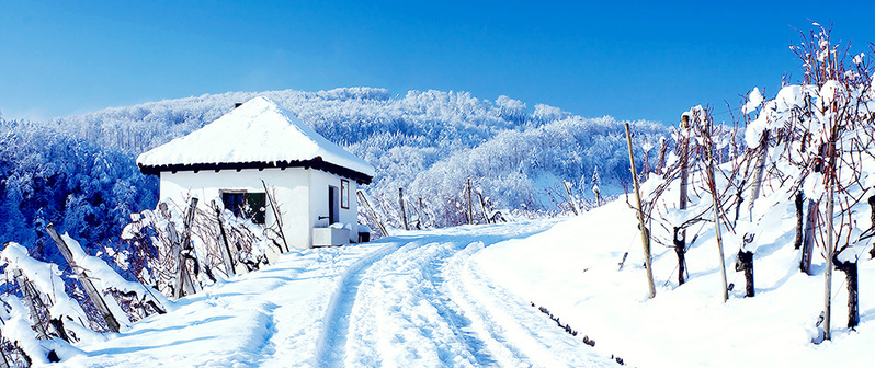 唯美雪景JPG摄影，高清风景图片素材，免费下载