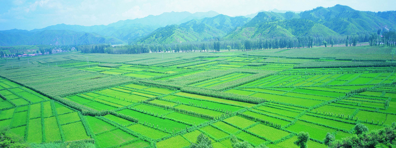 清新乡村田园风光摄影背景，高清JPG图片素材，风景设计专用下载