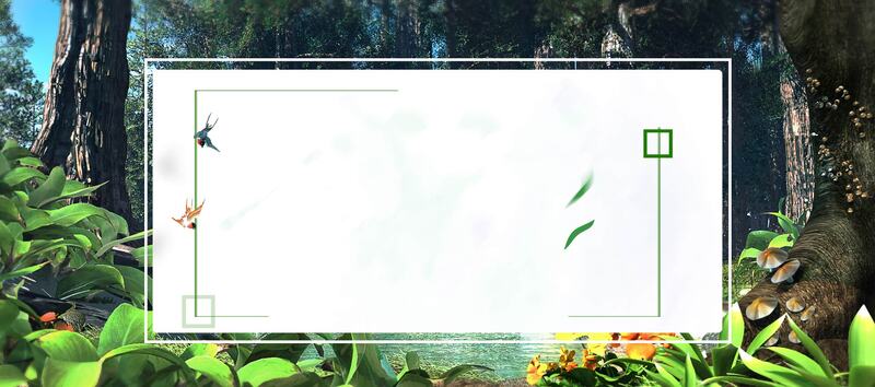 淘宝精选，森林幽静背景图，高清JPG/PSD格式，摄影风景设计素材下载