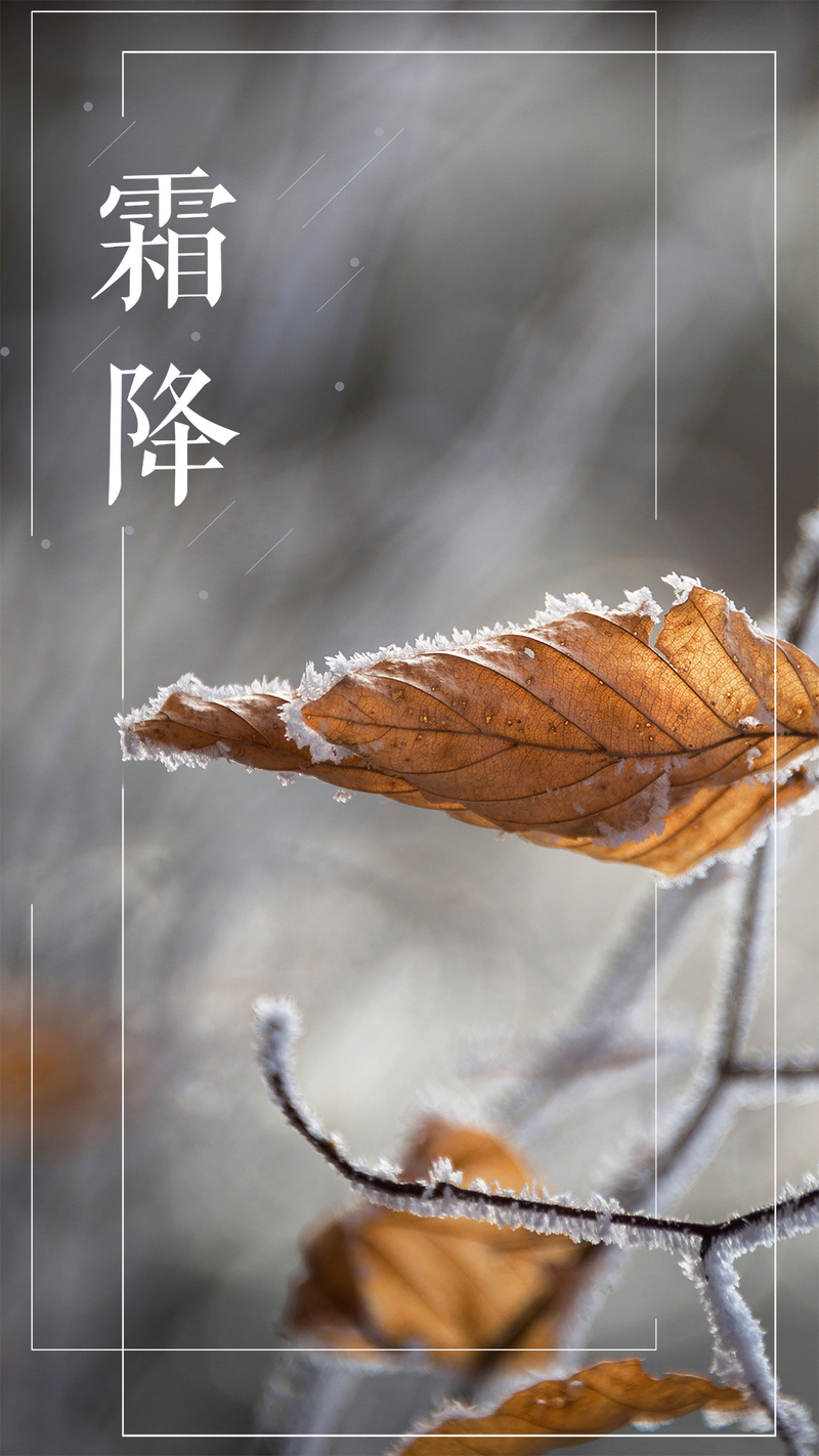 霜降美景1023，高清JPG与PSD分层设计素材，H5适用，风景摄影下载