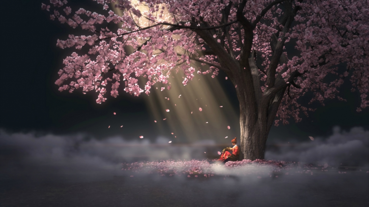 少年锦衣卫唯美树花壁纸，4K高清动漫图片，3840x2160超清下载