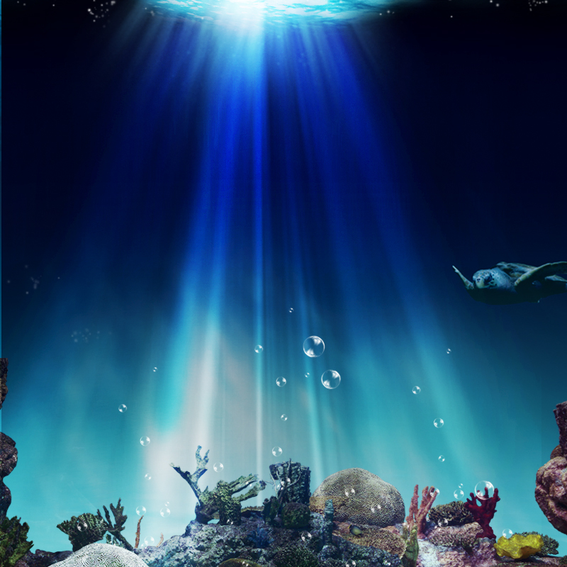 炫酷海底世界背景图，高清JPG摄影素材，PSD设计下载