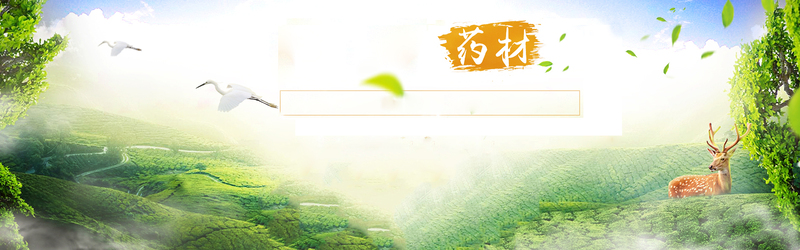 药材中药海报背景，高清JPG/PSD设计素材，免费下载