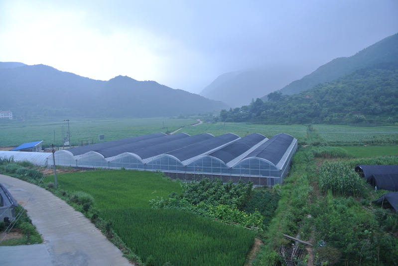 蔬菜种植大棚高清风景图，JPG摄影素材，一键下载设计必备