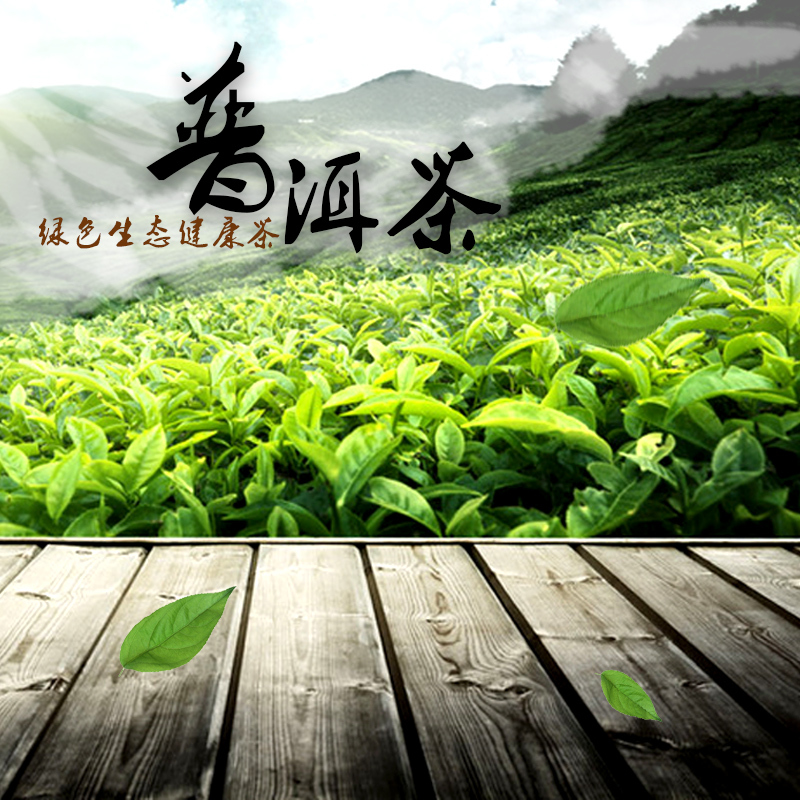 普洱茶园美景PSD分层主图背景，高清JPG图片，PSD格式设计素材免费下载