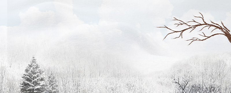 文艺雪松美景，高清JPG/PSD摄影素材，纯净白色banner下载