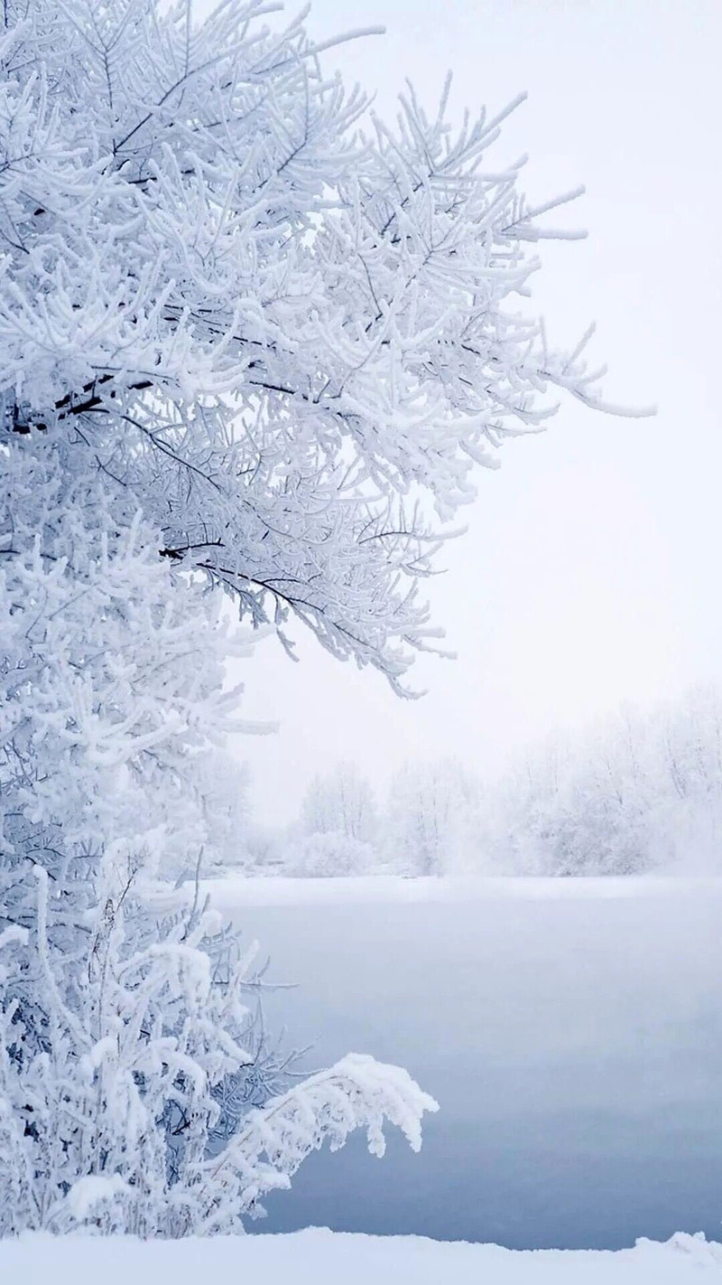 雾凇雪凇美景高清JPG图片，摄影佳作与风景设计素材下载