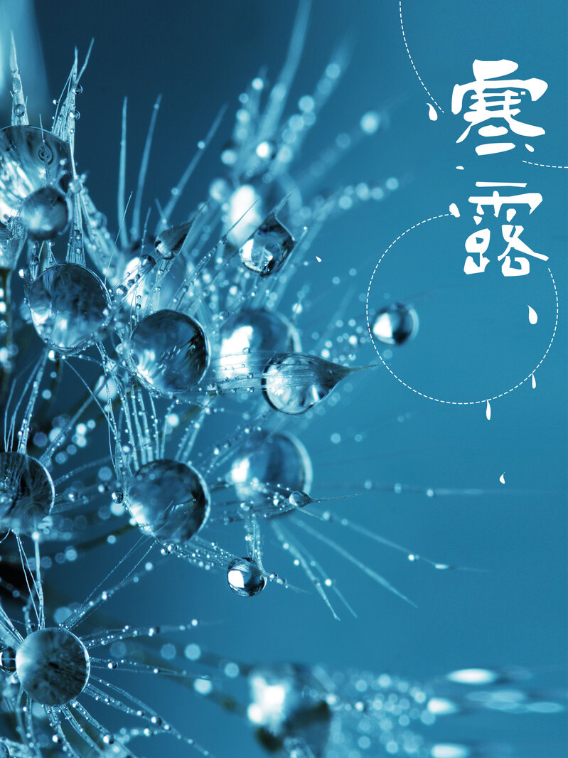 唯美露水微信配图，寒露节气海报背景PSD+JPG高清素材，风景摄影，设计下载