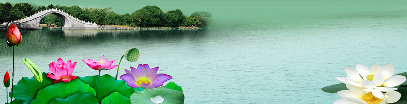 湖面荷花拱桥美景，高清JPG海报背景素材，PSD格式设计下载
