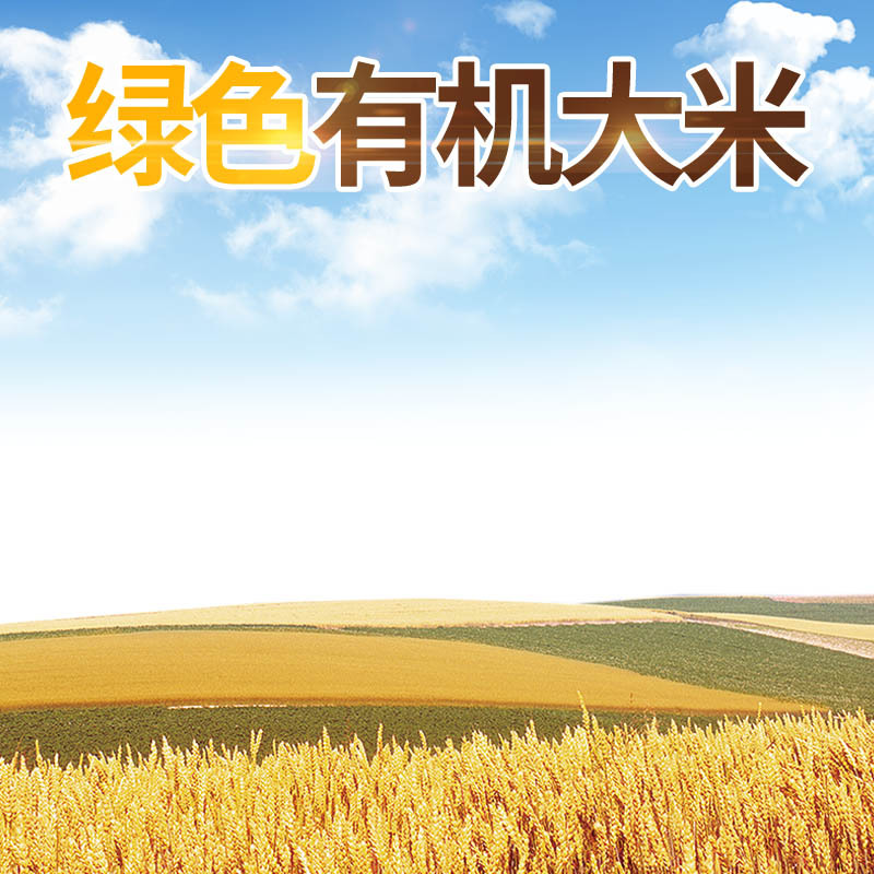 清新田园风大米食品高清主图，JPG/PSD格式摄影素材下载