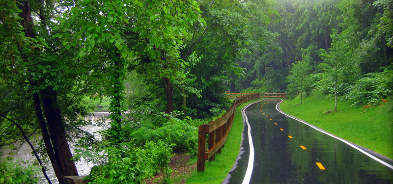 雨中公园美景，高清JPG摄影素材，免费下载