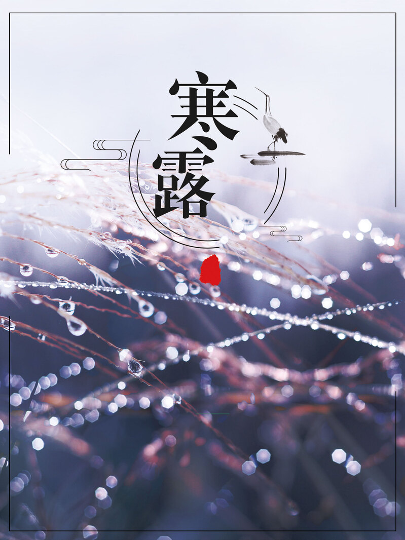 寒露清晨露水海报背景，高清JPG/PSD风景摄影素材下载