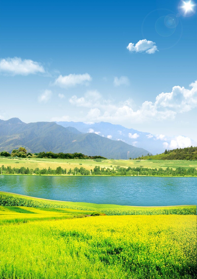 油菜花美景海报背景，高清JPG/PSD素材，一键下载