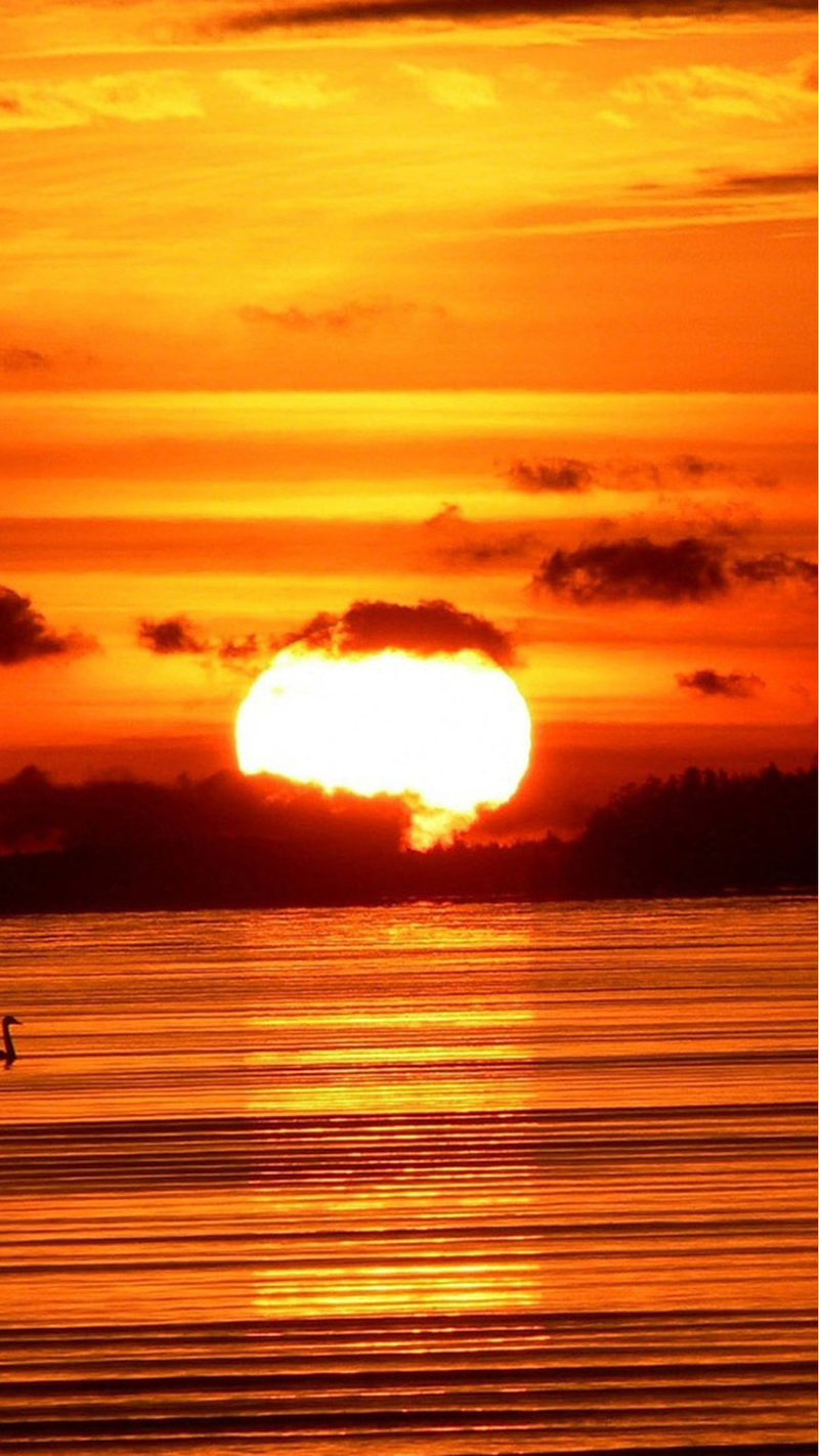 高清黄昏H5背景JPG，夕阳美景摄影素材，免费下载