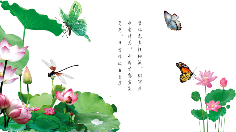 荷花蝴蝶蜻蜓摄影美图，高清JPG/PSD设计素材下载