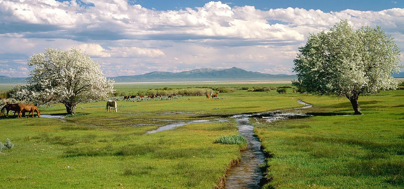 青山绿水草原美景，淘宝海报背景素材，高清JPG图片免费下载