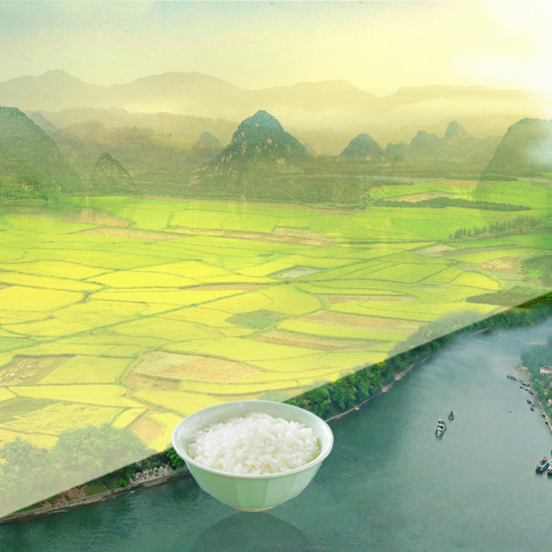 粮食大米稻田PSD分层图，高清JPG背景素材，风景设计下载