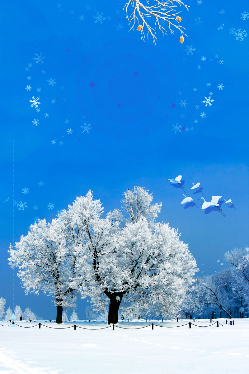 雾凇文艺雪花高清JPG摄影图，简约蓝色Banner设计素材PSD下载