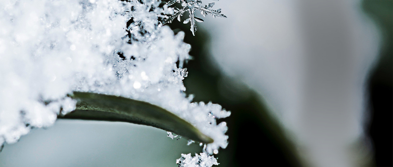 小雪文艺冬景高清JPG图集，风景PSD设计素材免费下载