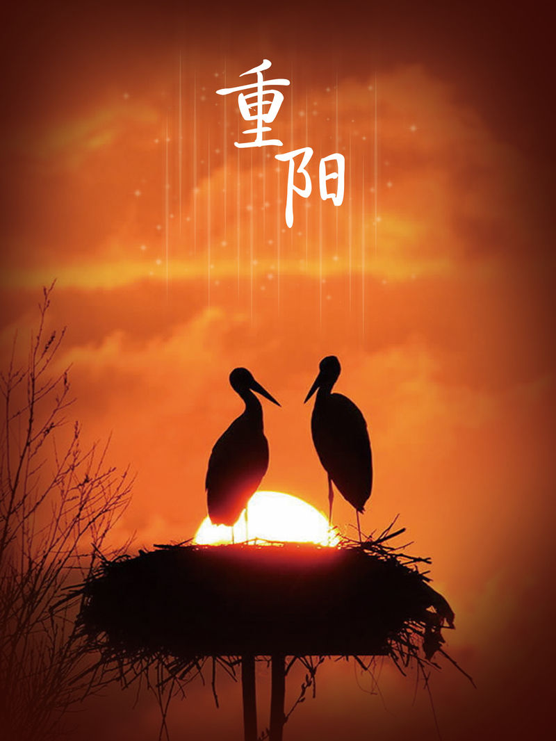 重阳佳节，绝美夕阳白鹭海报背景，高清PSD/JPG图片素材下载