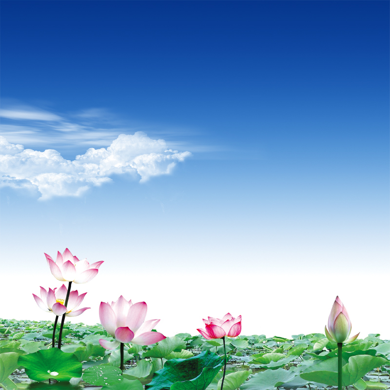 高清风景JPG/PSD素材，淘宝主图背景专业摄影设计下载