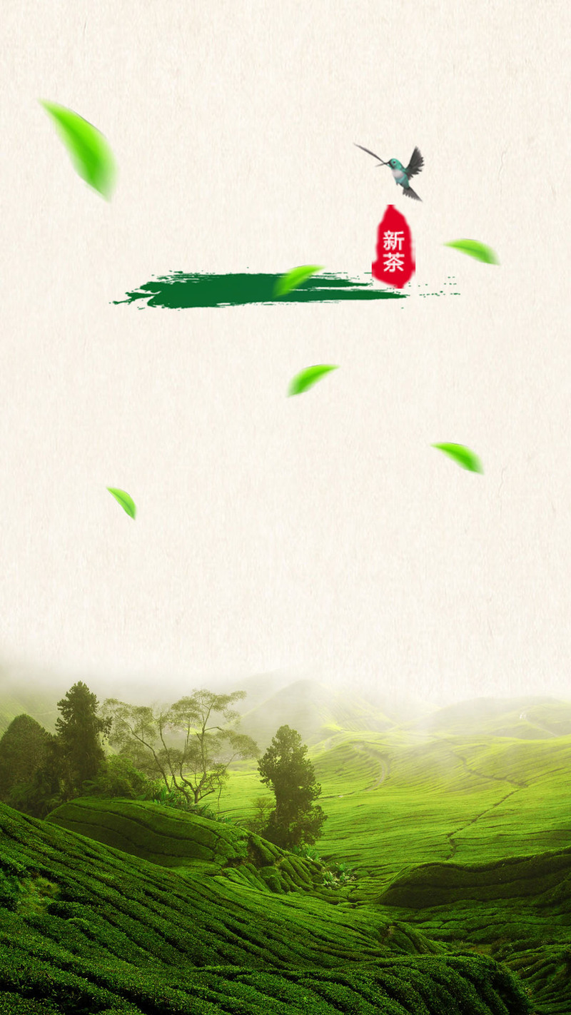 绿色茶园美景摄影，高清JPG与PSD设计素材免费下载