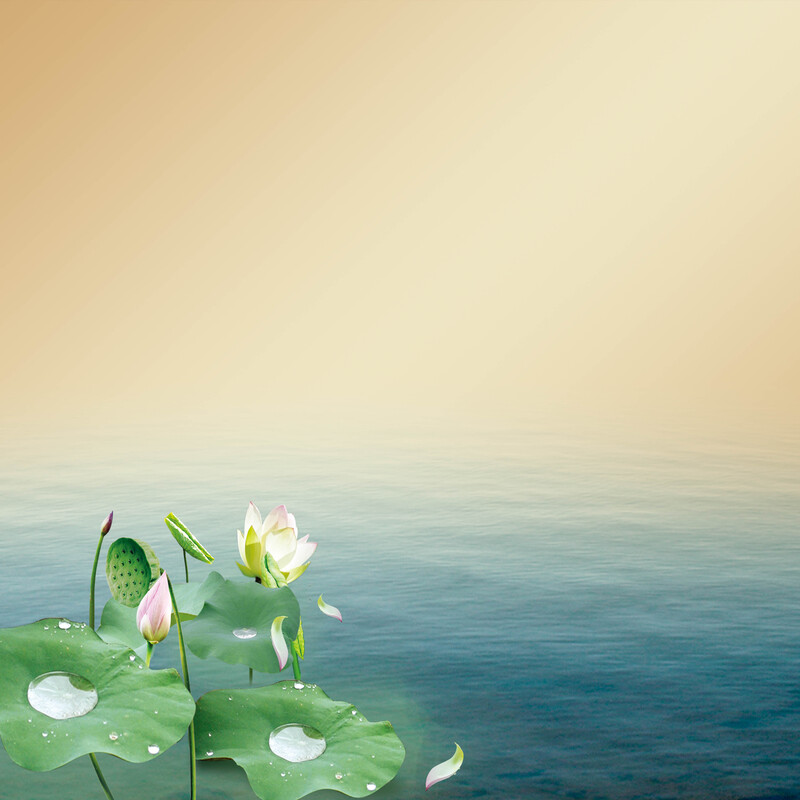 古典荷花水塘海报背景，清新JPG/PSD素材，高清下载