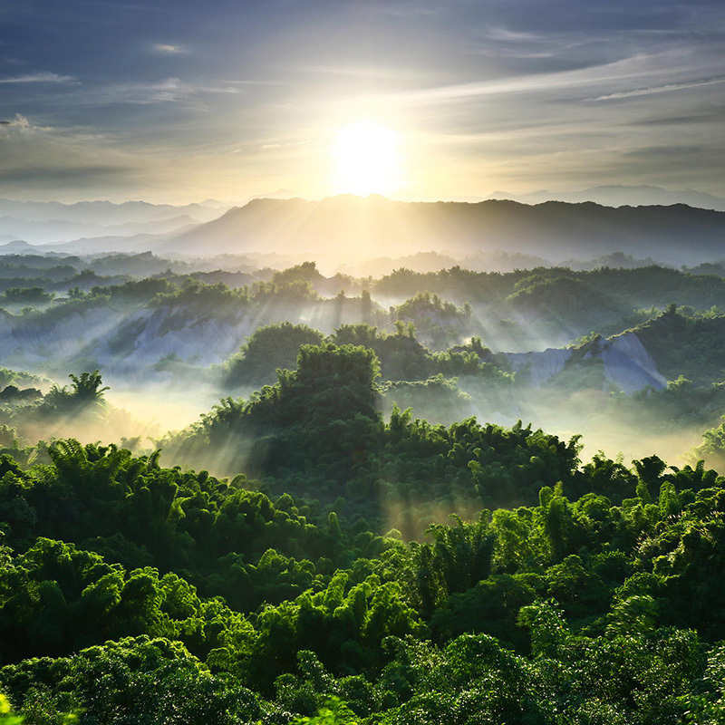 阳光森林美景高清JPG摄影素材，风景图片设计下载