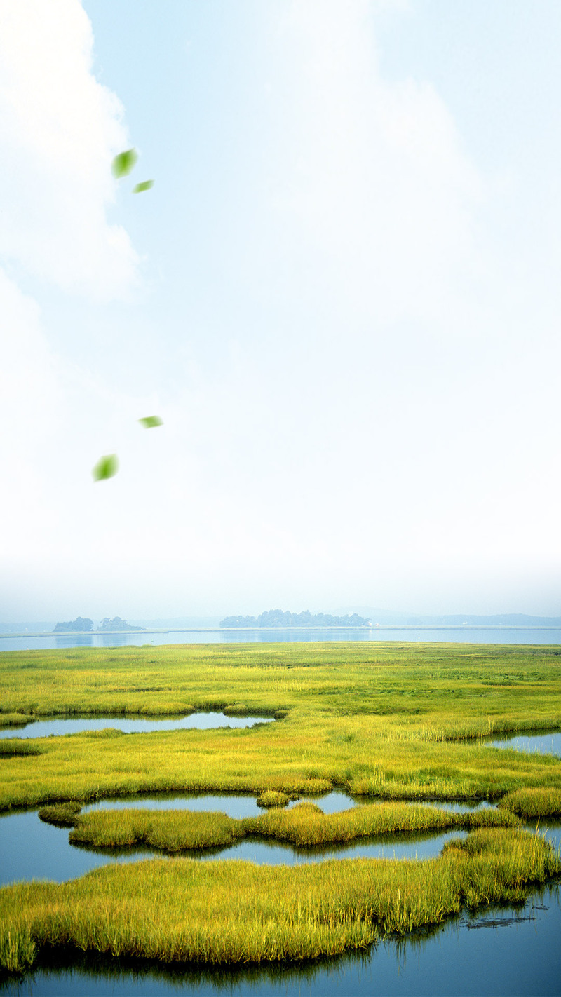 湿地保护日，精美海报背景JPG图片，高清风景PSD设计素材免费下载