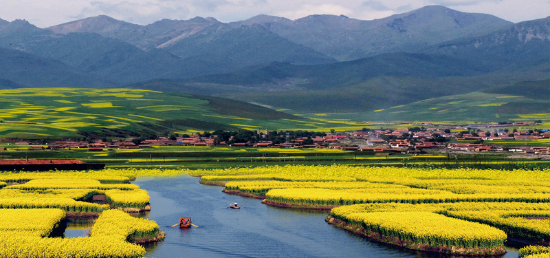 唯美油菜花田海报背景，高清JPG风景图片，设计素材免费下载